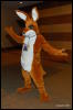 [Abrahm MFF2009 420]