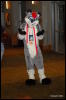 [Abrahm MFF2009 421]