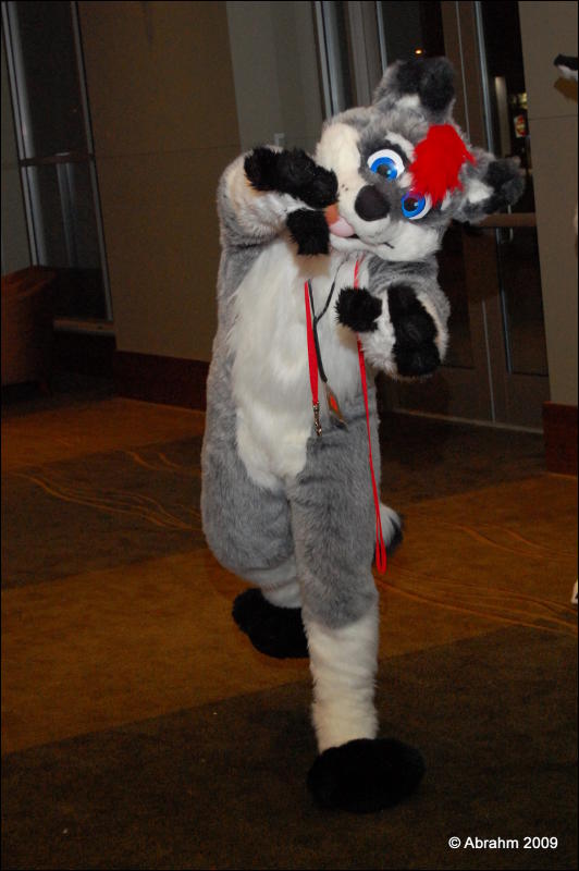 [Abrahm_MFF2009_422.jpg]