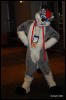 [Abrahm MFF2009 423]