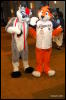 [Abrahm MFF2009 425]