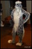 [Abrahm MFF2009 427]