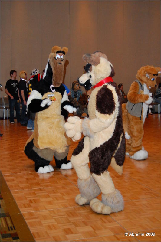 [Abrahm_MFF2009_462.jpg]