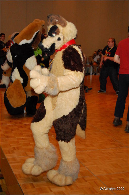 [Abrahm_MFF2009_463.jpg]