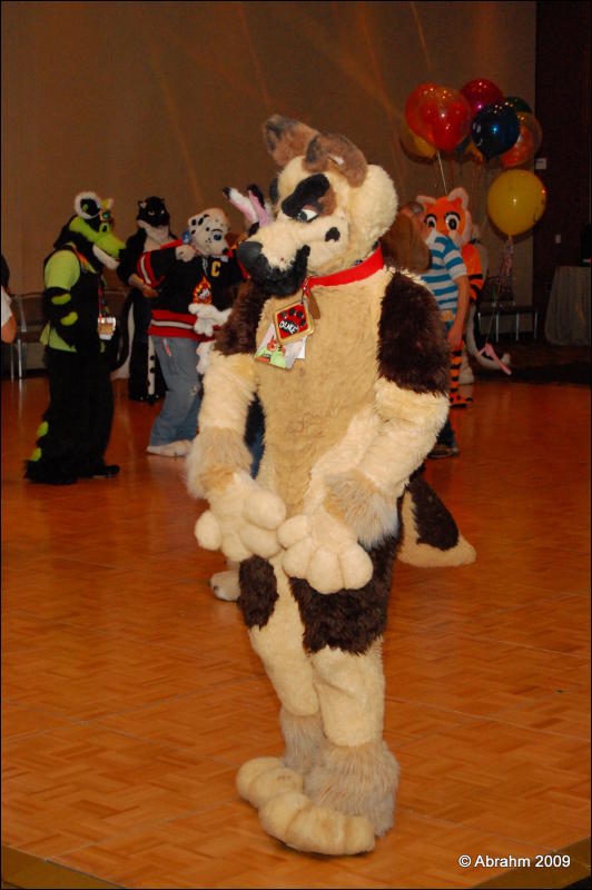 [Abrahm_MFF2009_464.jpg]