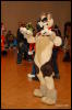 [Abrahm MFF2009 465]