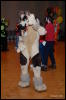 [Abrahm MFF2009 466]