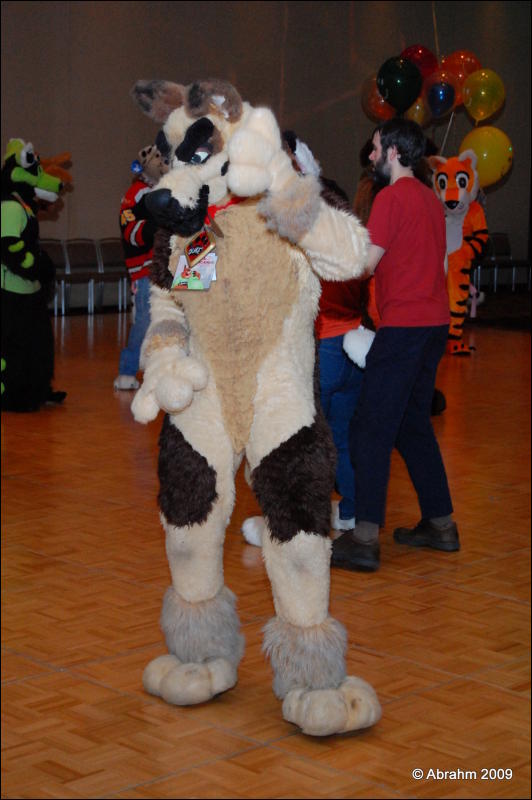 [Abrahm_MFF2009_466.jpg]