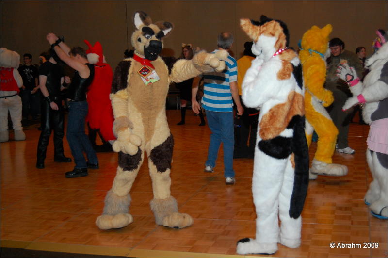 [Abrahm_MFF2009_484.jpg]