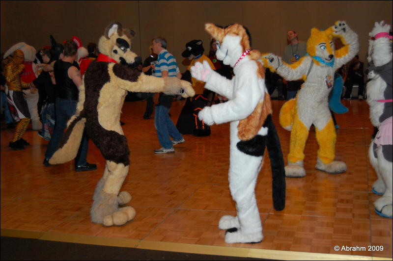 [Abrahm_MFF2009_485.jpg]