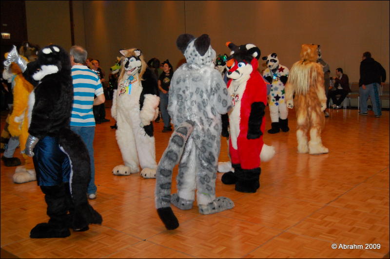 [Abrahm_MFF2009_488.jpg]