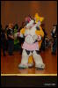 [Abrahm MFF2009 491]