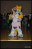 [Abrahm MFF2009 492]