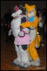 [Abrahm MFF2009 493]