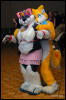 [Abrahm MFF2009 495]