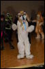 [Abrahm MFF2009 496]