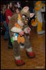 [Abrahm MFF2009 499]