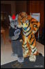 [Abrahm MFF2009 501]