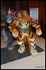 [Abrahm MFF2009 502]