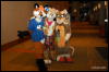 [Abrahm MFF2009 511]