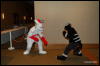 [Abrahm MFF2009 513]