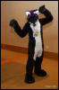 [Abrahm MFF2009 514]