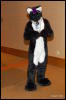 [Abrahm MFF2009 515]