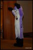 [Abrahm MFF2009 517]