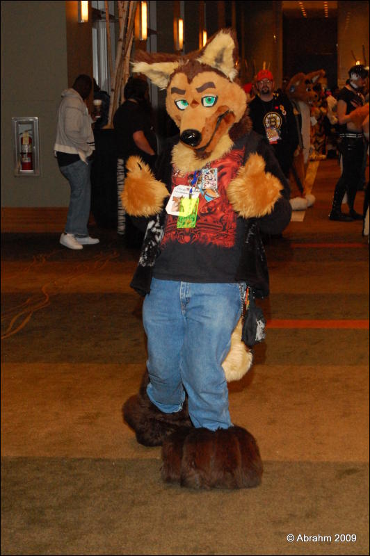 [Abrahm_MFF2009_522.jpg]