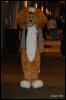 [Abrahm MFF2009 523]