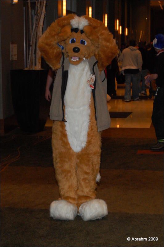 [Abrahm_MFF2009_523.jpg]