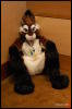 [Abrahm MFF2009 524]