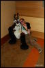 [Abrahm MFF2009 526]