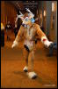 [Abrahm MFF2009 535]