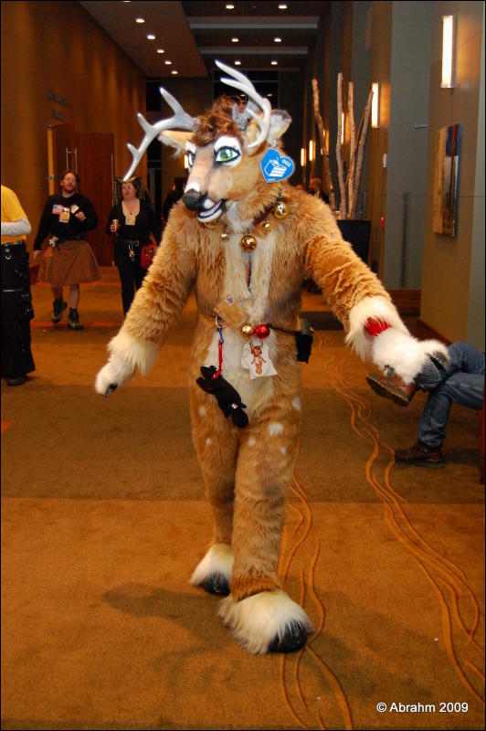 [Abrahm_MFF2009_535.jpg]