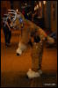 [Abrahm MFF2009 536]