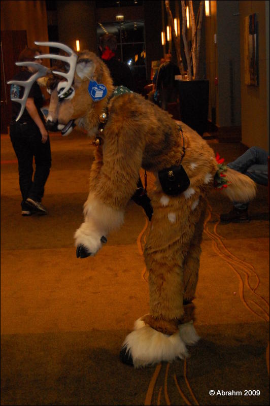 [Abrahm_MFF2009_536.jpg]