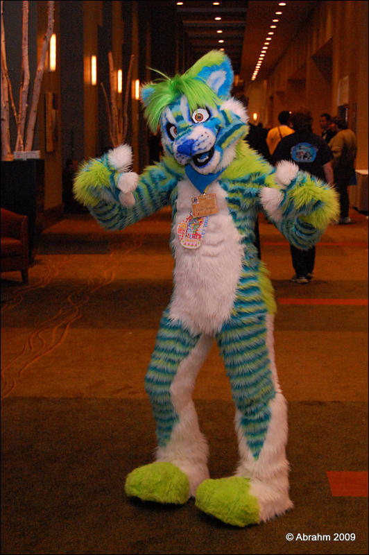 [Abrahm_MFF2009_537.jpg]