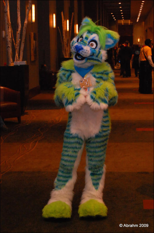 [Abrahm_MFF2009_538.jpg]