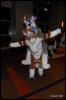 [Abrahm MFF2009 540]