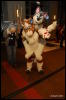 [Abrahm MFF2009 542]