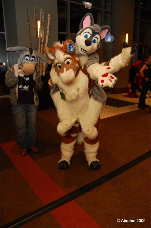 [Abrahm_MFF2009_542.jpg]