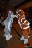 [Abrahm MFF2009 543]