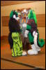 [Abrahm MFF2009 544]