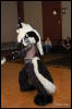 [Abrahm MFF2009 556]