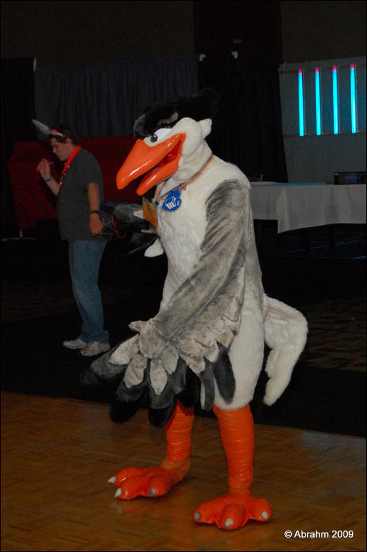 [Abrahm_MFF2009_580.jpg]