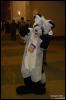 [Abrahm MFF2009 585]