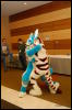 [Abrahm MFF2009 586]