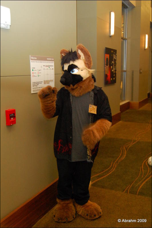 [Abrahm_MFF2009_588.jpg]