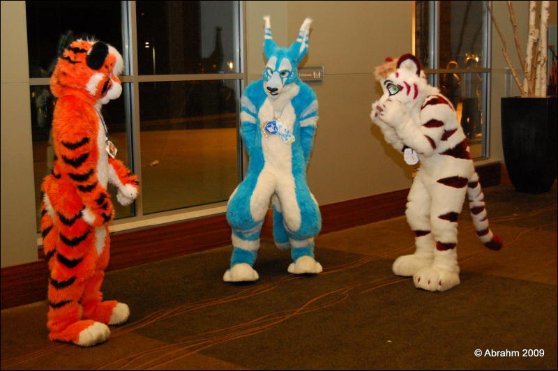 [Abrahm_MFF2009_590.jpg]